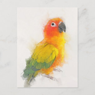 Sun Conure Portrait Postkarte