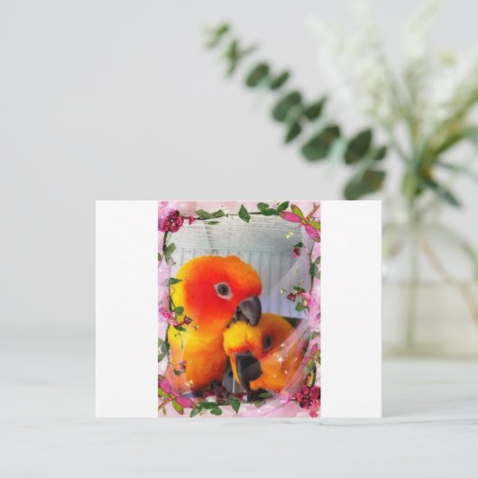 Sun Conure Postkarte (Stehend Vorderseite)