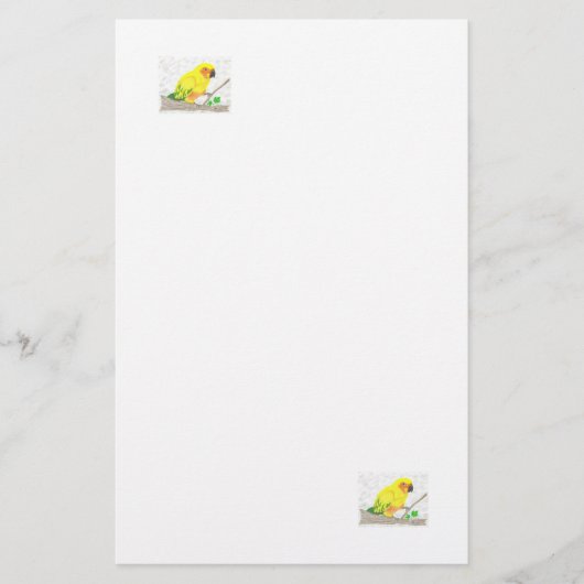 Sun Conure Stationery Briefpapier (Vorderseite)