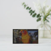Sun conure visitenkarte (Stehend Vorderseite)
