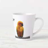 Sun Conure Wildlife Art Personalisiert Name Tier Milchtasse (Rechts)