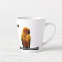 Sun Conure Wildlife Art Personalisiert Name Tier