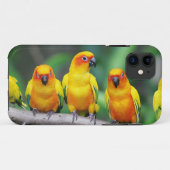 Sun Conures Case-Mate iPhone Hülle (Rückseite (Horizontal))