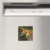 Sun Conures Magnet (In Situ (Geschirrspüler))