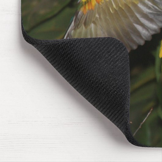 Sun Conures Mousepad (Ecke)