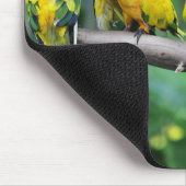 Sun Conures Mousepad (Ecke)