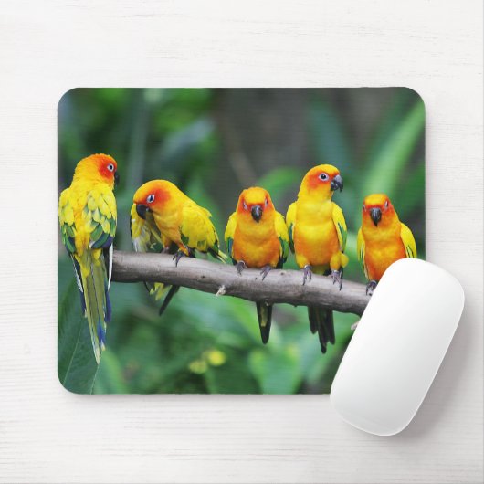 Sun Conures Mousepad (Mit Mouse)