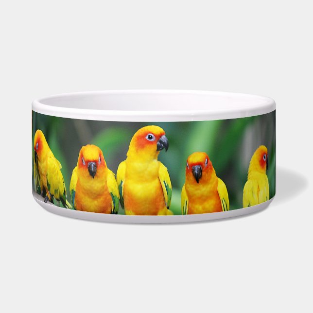 Sun Conures Napf (Rechts)