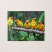 Sun Conures Puzzle (Horizontal)