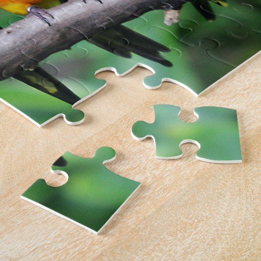 Sun Conures Puzzle (Seite)
