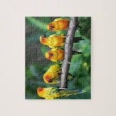 Sun Conures Puzzle (Vertikal)