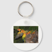 Sun Conures Schlüsselanhänger (Vorderseite)
