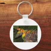 Sun Conures Schlüsselanhänger (Vorderseite)