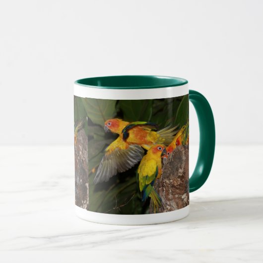 Sun Conures Tasse (VorderseiteRechts)