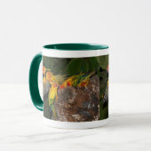 Sun Conures Tasse (Vorderseite Links)