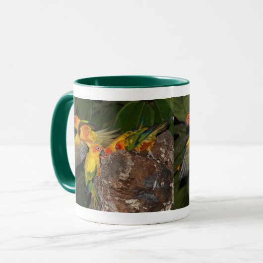 Sun Conures Tasse (Vorderseite Links)