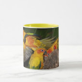 Sun Conures Tasse (Zentrum)