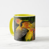 Sun Conures Tasse (Vorderseite Links)