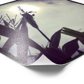 Sun-Corn Fotodruck (Ecke)