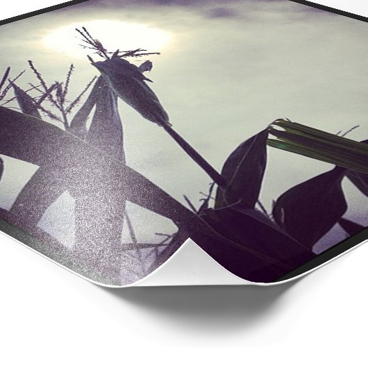 Sun-Corn Fotodruck (Ecke)