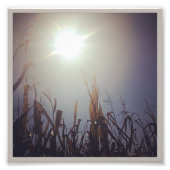 Sun-Corn-Gott 2 Fotodruck (Vorne)