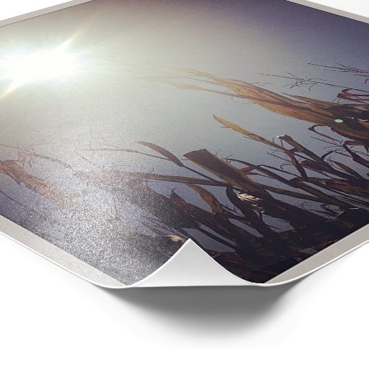 Sun-Corn-Gott 2 Fotodruck (Ecke)