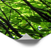 Sun Dappled Horse Kastanien Blätter Poster (Ecke)