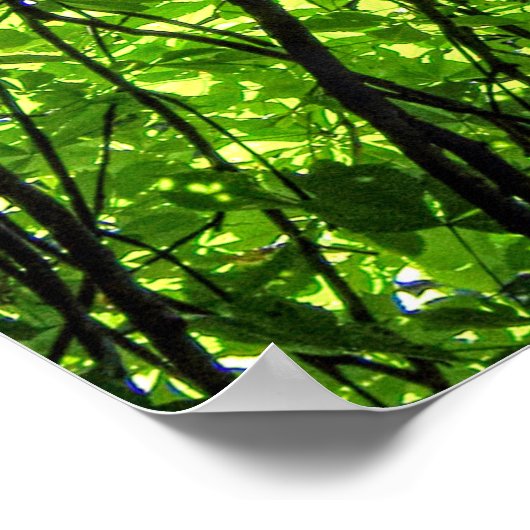 Sun Dappled Horse Kastanien Blätter Poster (Ecke)