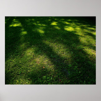 Sun Dappled Rasen Poster