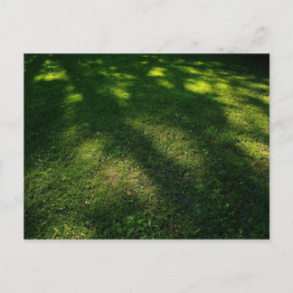 Sun Dappled Rasen Postkarte