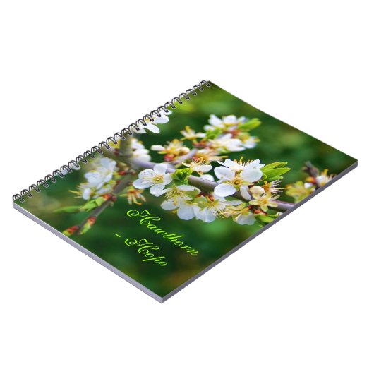 Sun-Dappled Spring Hawthorn Notizblock (Linke Seite)