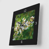 Sun-Dappled Spring Hawthorn Quadratische Wanduhr (Winkel)