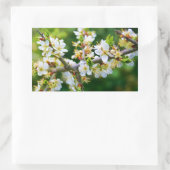 Sun-Dappled Spring Hawthorn Rechteckiger Aufkleber (Tasche)