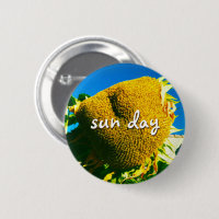 Sun Day Quoting Skript Gelbe Sonnenblumen Foto