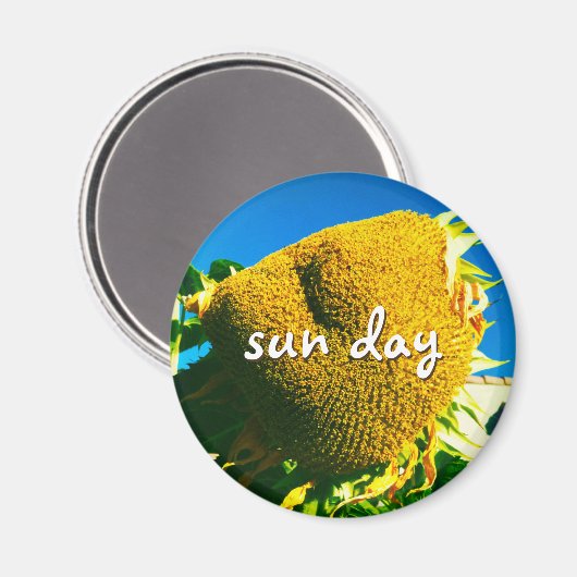 Sun Day Quoting Skript Gelbe Sonnenblumen Foto Magnet (Vorderseite/Rückseite)