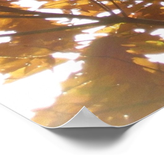 Sun Diamond auf Herbstlauben Poster (Ecke)