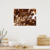 Sun Diamond auf Herbstlauben Poster (Küche)