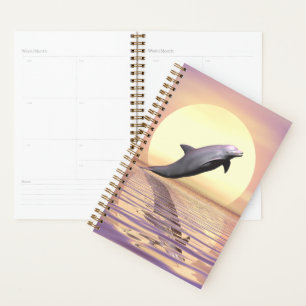 Sun Dolphin Planer