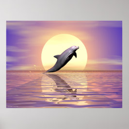 Sun Dolphin Poster
