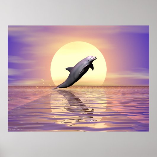 Sun Dolphin Poster (Vorne)