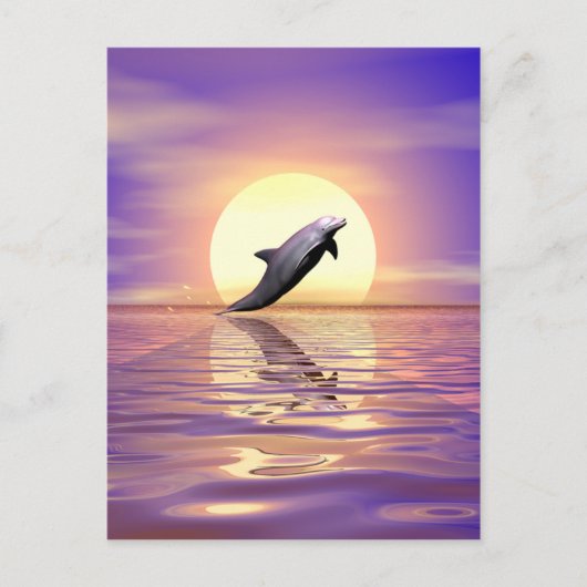 Sun Dolphin Postkarte (Vorderseite)