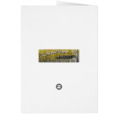 Sun Drenched Gaillardia Fotografie in Vorlage (Hinten)