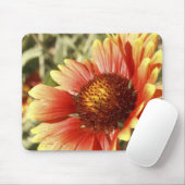 Sun Drenched Gaillardia Mousepad (Mit Mouse)