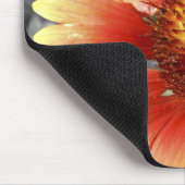 Sun Drenched Gaillardia Mousepad (Ecke)