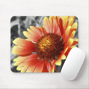 Sun Drenched Gaillardia Mousepad