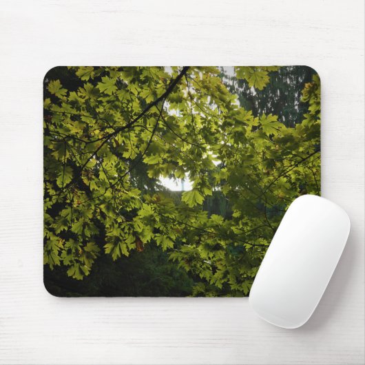Sun durch grüne Blätter Mousepad (Mit Mouse)