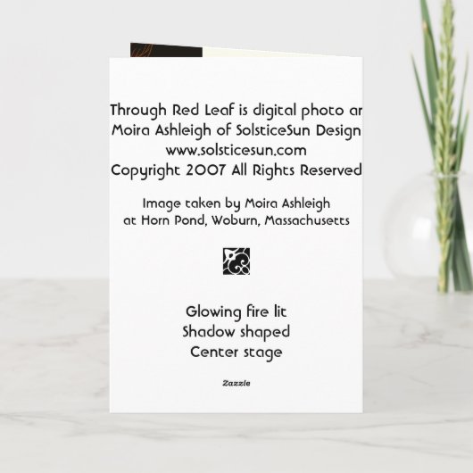 Sun durch rotes Blatt Karte (Rückseite)