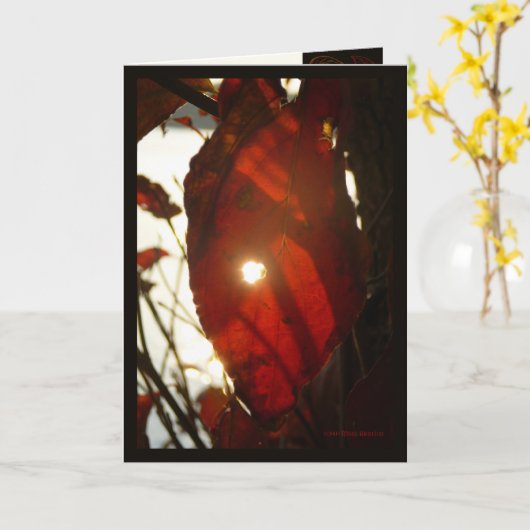 Sun durch rotes Blatt Karte (Gelbe Blume)