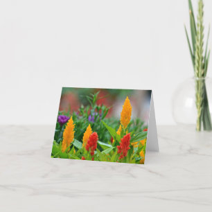 Sun färbt Notecard Karte