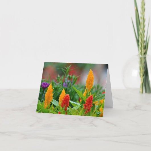 Sun färbt Notecard Karte (Vorderseite)